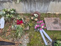 ein Bild aus dem Album