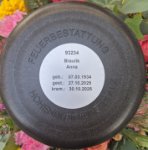 ein Bild aus dem Album