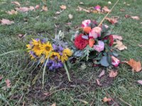 ein Bild aus dem Album