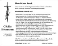 eine Anzeige