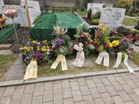 ein Bild aus dem Album