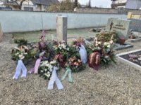 ein Bild aus dem Album