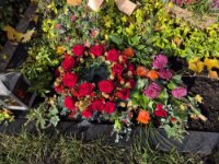 ein Bild aus dem Album