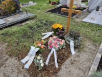 ein Bild aus dem Album