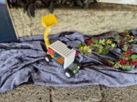 ein Bild aus dem Album