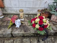 ein Bild aus dem Album