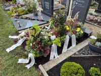 ein Bild aus dem Album