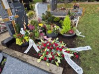 ein Bild aus dem Album